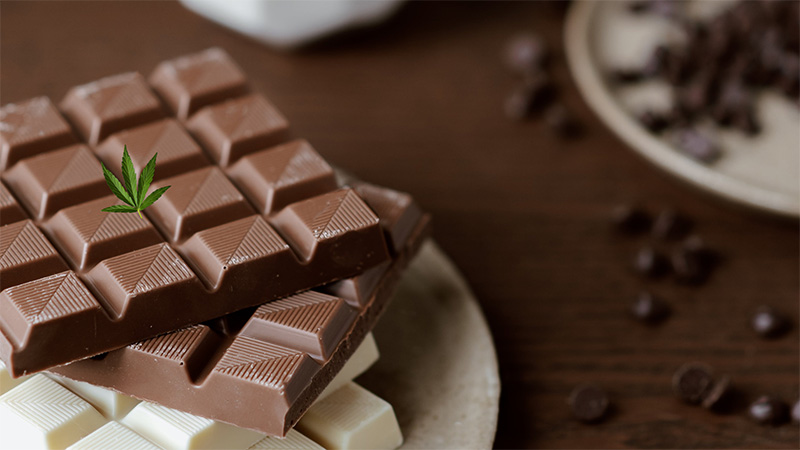 Indulge in Bliss: Tempting Cannabis-Infused Chocolate Delights Cannabis-Infused Chocolates