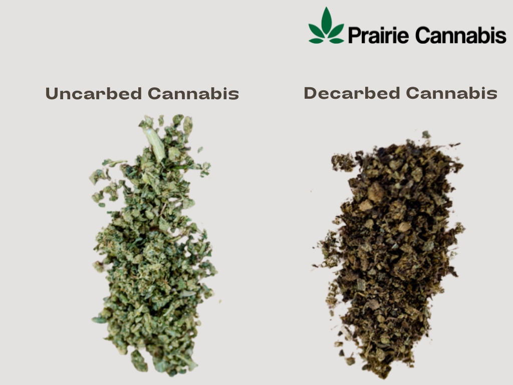 Cannabis Leaf Decarboxylation Comparison Comparison of color between uncarbed and decarbed cannabis leaves.