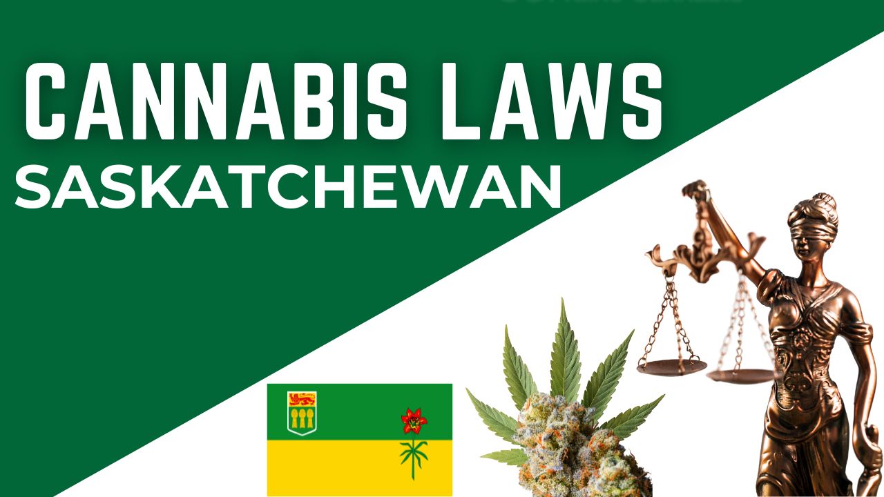Saskatchewan flag next to a cannabis bud and a law, symbolizing the importance of understanding cannabis laws in the province. 