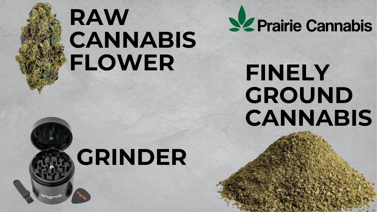 decarboxylation Cannabis Preparation Tools and Materials Image showing raw cannabis flower, a grinder for preparing cannabis, finely ground cannabis, and the Prairie Cannabis logo.